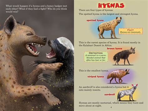 Hyena vs. Honey Badger (Who Would Win?) | Scholastic Canada