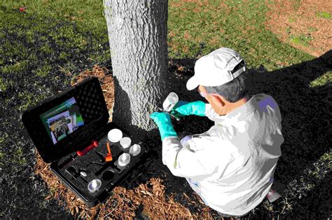 ArborSystems' latest insecticide targets emerald ash borer | Total ...