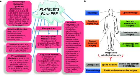 Platelet Platelet Lysate Pl Or Platelet Rich Plasma Prp