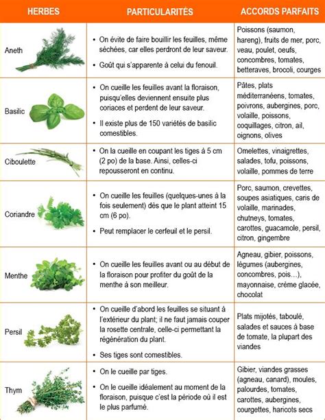 Associer Les Herbes Aromatiques Trucs Et Astuces Cuisine Herbes