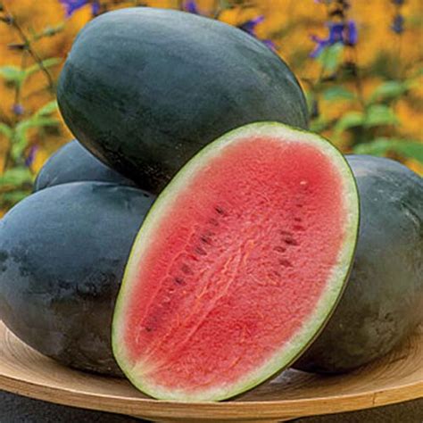 25 Of The Best Watermelon Varieties Gardeners Path