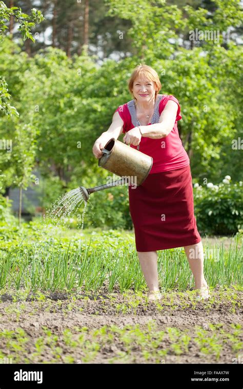 Mature Woman Watering Plant At Vegetables Garden Stock Photo Alamy