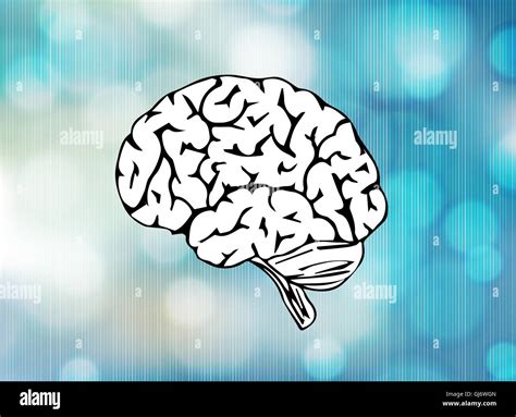 Brain Anatomy Vintage Hi Res Stock Photography And Images Alamy