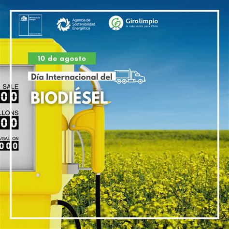 Biodiésel Un Combustible Sostenible Para Reducir La Huella De Carbono