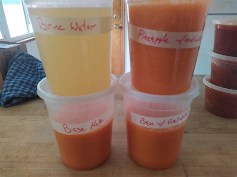 First Successful Hot Sauce R Fermentedhotsauce