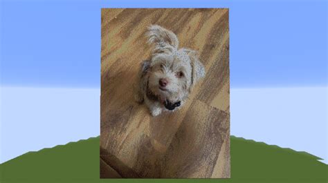 Pixel Art of my dog. (Bubby) Minecraft Map