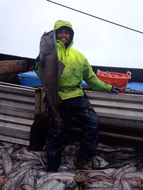 Black Cod Alaska Fishing Black Cod Fish