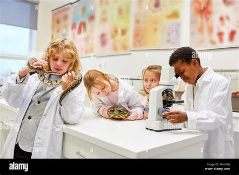 Children In Elementary School Biology Study Exotic Animals Stock Photo