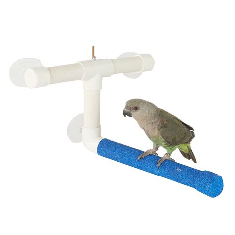 Window And Shower Perch Small Bird Parrot Everyday Pet Cages