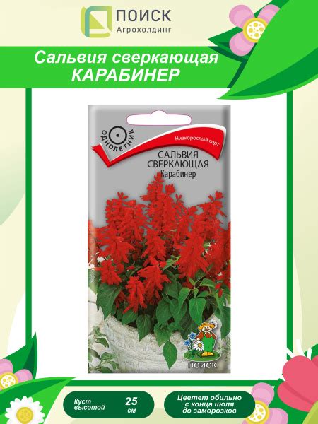 Сальвии ПОИСК Агрохолдинг Сальвия - купить по выгодным ценам в интернет ...