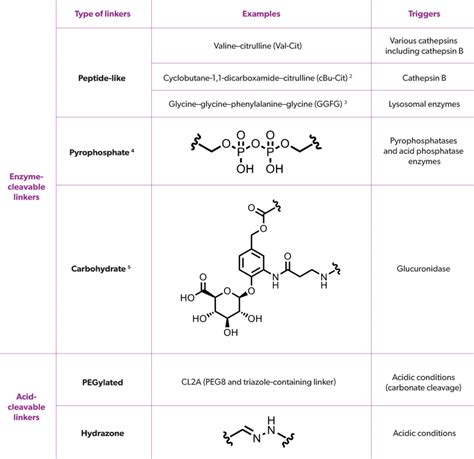 Linkers And Conjugation Chemistry Symeres