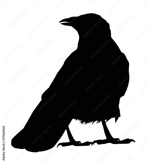 Raven vector silhouette Stock Vector | Adobe Stock