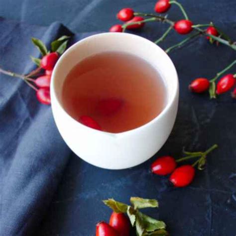 Rosehip tea – Artofit