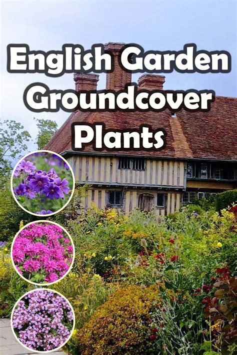 13 Of the Best Flowers for English Gardens - BUCKINGHAMSHIRE LANDSCAPE ...