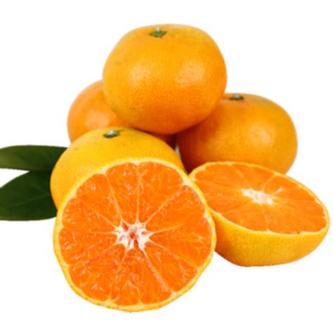 Oranges Transparent Free Png Png Play