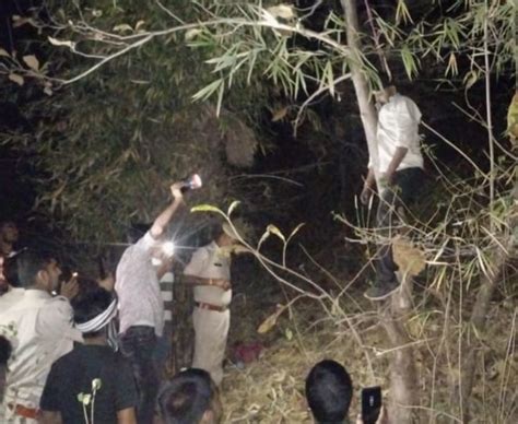 Dead Body Found Hanging In The Forest Police Told Suicide पेड़ पर फंदे से लटका मिला युवक का