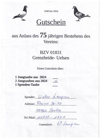 Brieftauben Auktion De Gutschein Jungtauben Vom