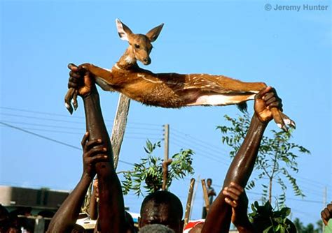 Jeremy Hunter - Winneba Festival, Central Region, Ghana