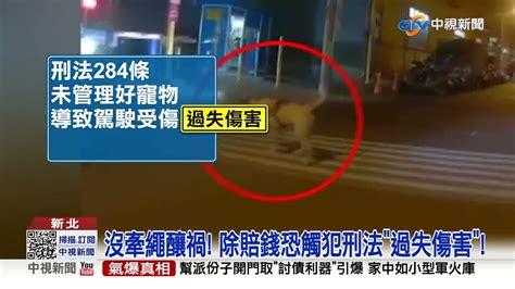 沒牽繩狗亂竄害2騎士摔車 飼主落跑不算肇逃│中視新聞 20221025 Youtube