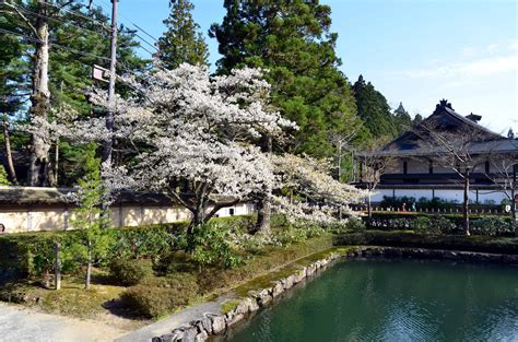 Photo: Koyasan - Japan