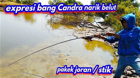 Sensasi Baru Mancing Belut Pakek Stik Di Tambak Empang Sidoarjo