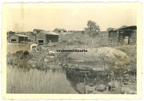 ORIG FOTO NACKTE Soldaten Beim Baden In Finnland Eismeer Russland Nude Akt EUR 9 99 PicClick DE