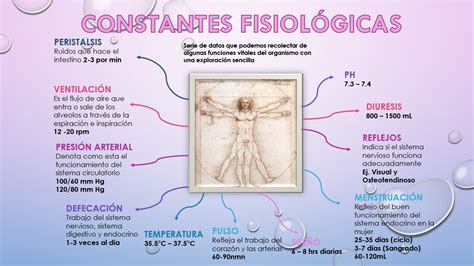 Yetzalizavalablogdefisiologia Gpo Constantes Fisiol Gicas