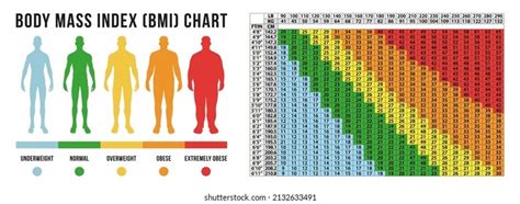 Body Masse Index Chart Bmi Vector Stock Vector (Royalty Free ...