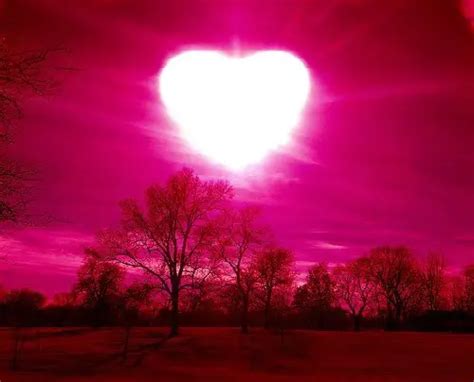 understand  importance  love wake  world