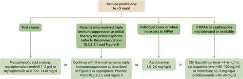 Kdigo 2024 Clinical Practice Guideline For The Management Of Lupus