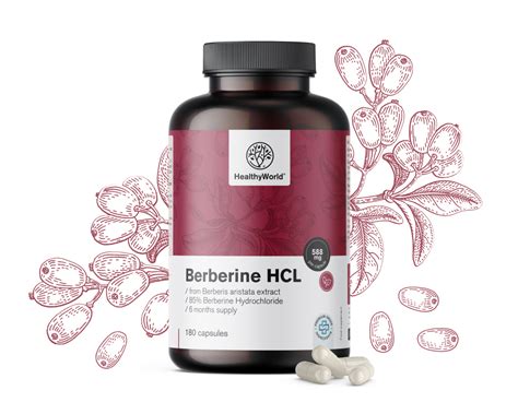 Berbérine Hcl 500 Mg 180 Gélules Healthyworld Fr