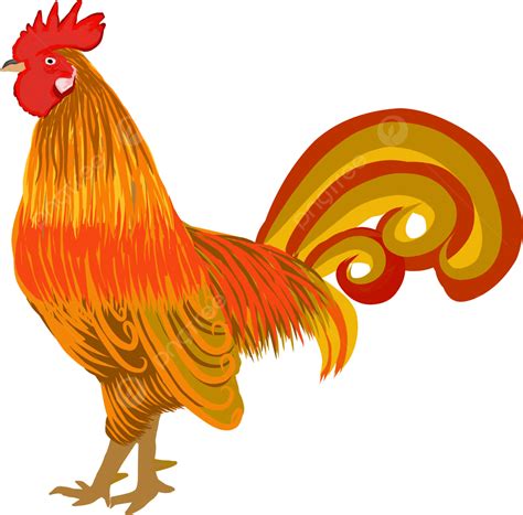 Illustration Of A Fighting Rooster Vector Illustration Rooster