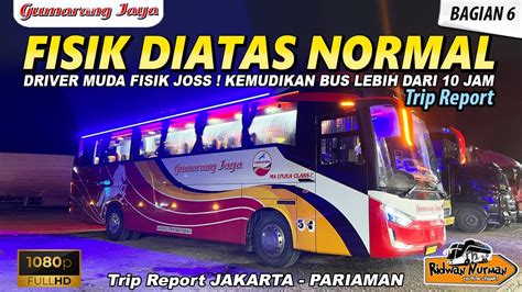 Driver Muda Fisik Joss Kemudikan Bus Lebih Dari Jam Trip Gumarang