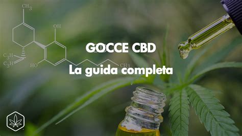 Differenza Tra Thc E Cbd Hemp Embassy Cannabis Light Hash Cbd