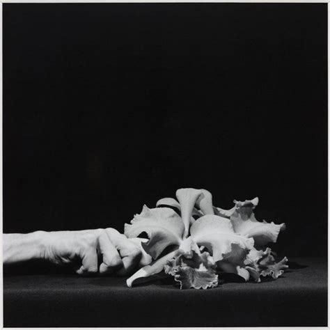 Robert Mapplethorpe Orchid And Hand Robert Mapplethorpe Robert