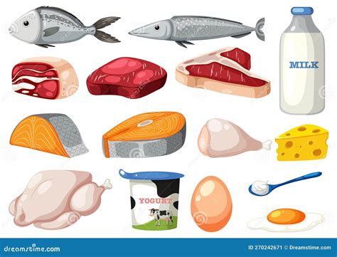 Conjunto De Alimentos Con Proteína De Dibujos Animados Ilustración Del Vector Ilustración De