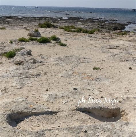 Porto Cesareo C Un Cimitero Bizantino Sull Isola Dei Conigli