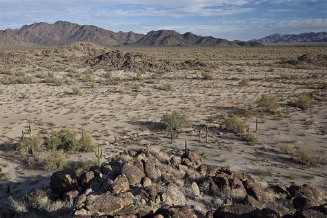 La Historia Del Sahara ¿cuándo Se Secó Este Vasto Desierto