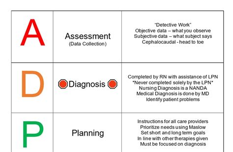 Adpie Nursing Care Plan Example