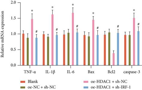 The Effect Of HDAC1 On IRF 1 Transcription And Hepatocyte Inflammatory