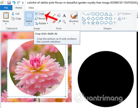 Cách cắt ảnh hình tròn trên Paint - Cắt theo hình dạng khác nhau - Friend.com.vn