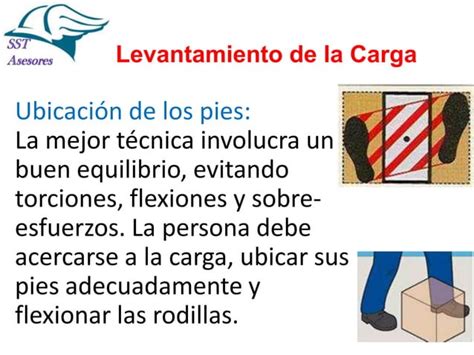 Levantamiento Manual De Cargas Ppt