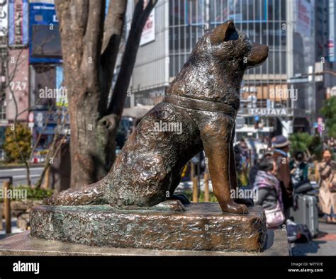 Hachiko Dog Statue Memorial Hi Res Stock Photography And Images Alamy