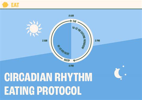 Meal Timing Protocol - The Proof