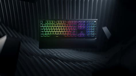 Ornata V2 – Masonry Studios