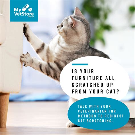 You might not know oskaloosa iowa was once a major hub for coal 10