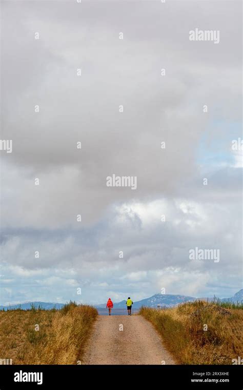 Pilgrims Walking The Camino De Santiago The Way Of St James Between The Spanish Towns Of Najera