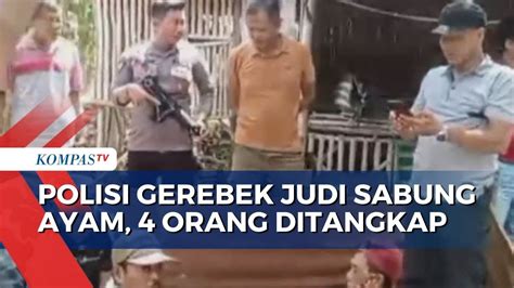 Detik Detik Penggerebekan Arena Judi Sabung Ayam Di Situbondo 4