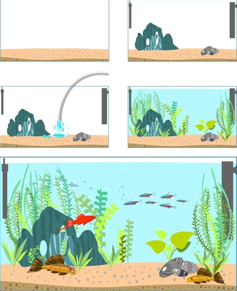 Best 20 Gallon Fish Tank & How To Set It Up 20223