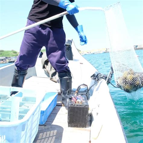 塩水生ウニを北海道から通販・取り寄せ ｜ 北海道の海鮮通販：飯坂冨士商店オンラインストア 飯坂冨士商店